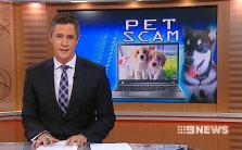 Pet scams - Ch 9 News (10/04/13)