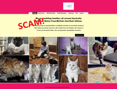 20230502-pet scam- westerncatscattery