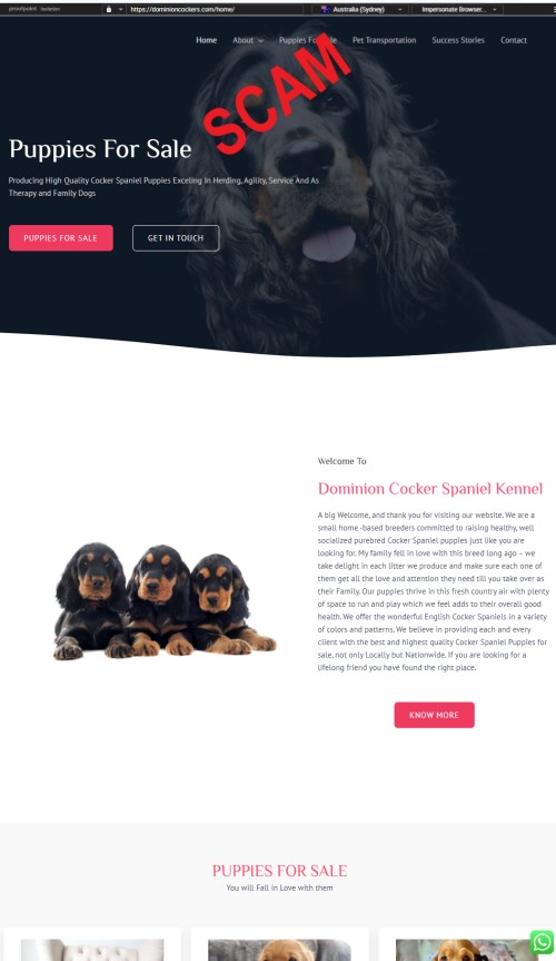 20210723 - Puppy scam - dominioncockers
