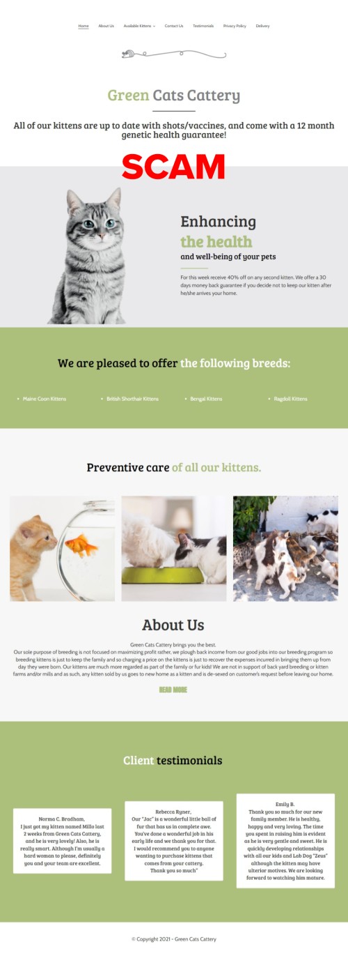 greencatscattery.com - Home