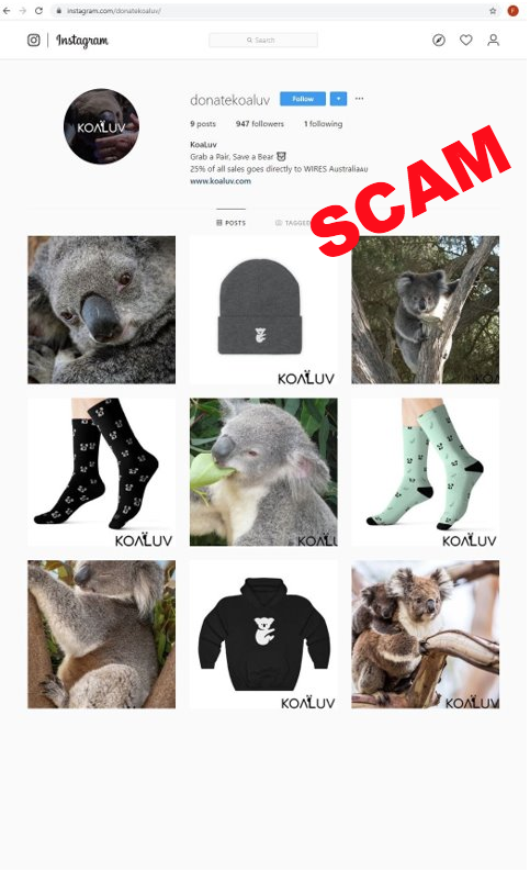 screenshot of Koaluv Instagram scam