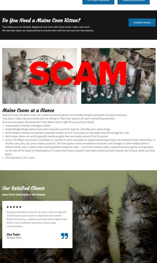 Scam website