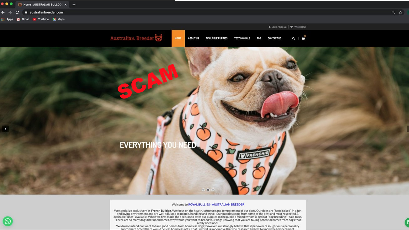 image of fake online puppy website