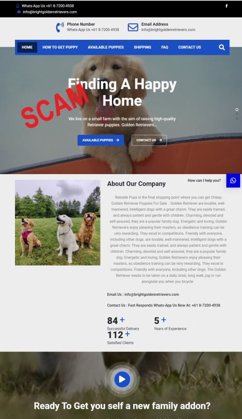 20210723 - Puppy scam - brightgoldenretrievers - Home