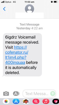 FluBot phishing SMS - screenshot2