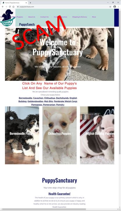 puppysanctuary.com - Home