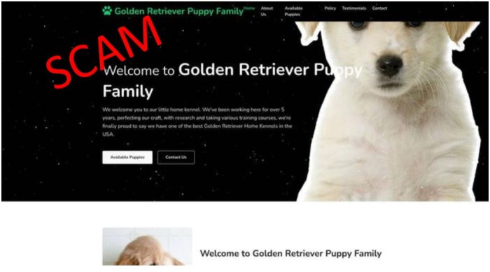 goldenretrieverpuppyfamily.com - home