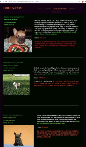 screen shot of fake puppy website screen shot of fake puppy website