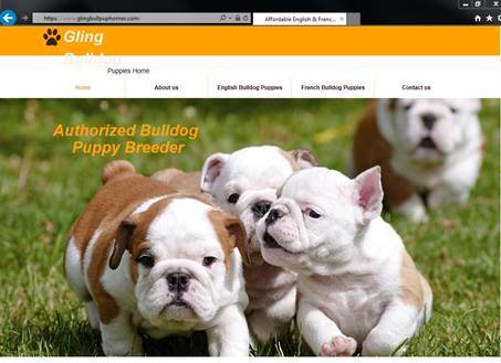Fake bulldog puppy website