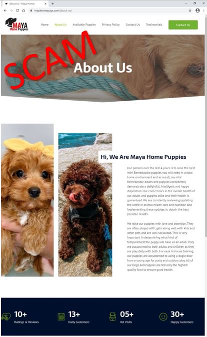 mayahomespups.com - About us